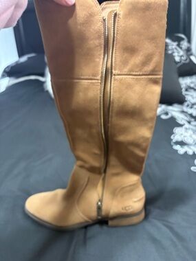 UGG Chestnut Suede Mid-Calf Zip Boots